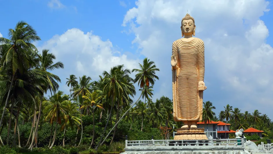 Veiligheid in Sri Lanka | Advies van onze lokale specialist